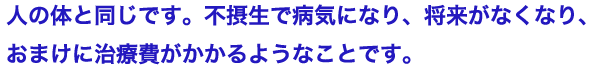 人の体と同じです。不摂生で病気になり、将来がなくなり、
おまけに治療費がかかるようなことです。