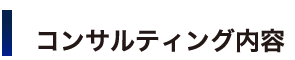 コンサルティング内容